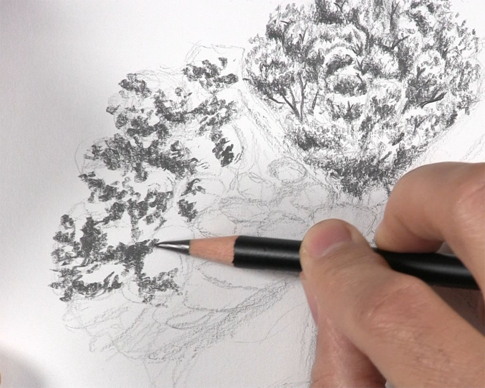 Tree Drawing Tutorial in Pencil.