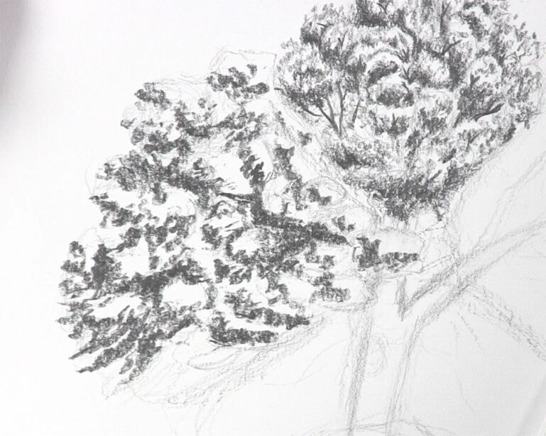 How to Draw a Tree with Leaves in a Surprisingly Familiar Way - Let's ...