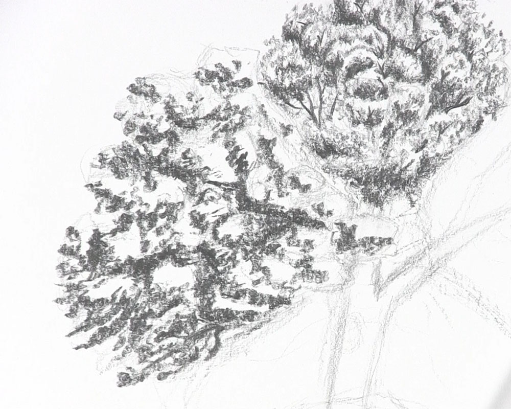 draw a few more branches