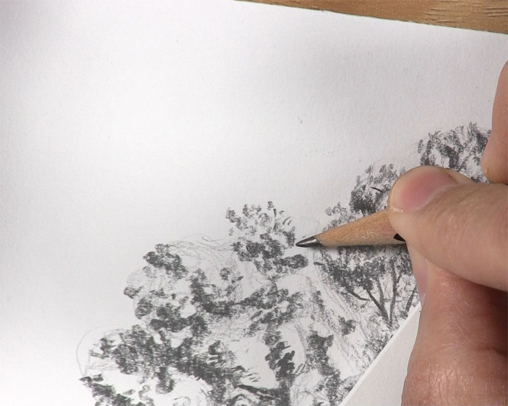 draw leaves beyond edge of tree