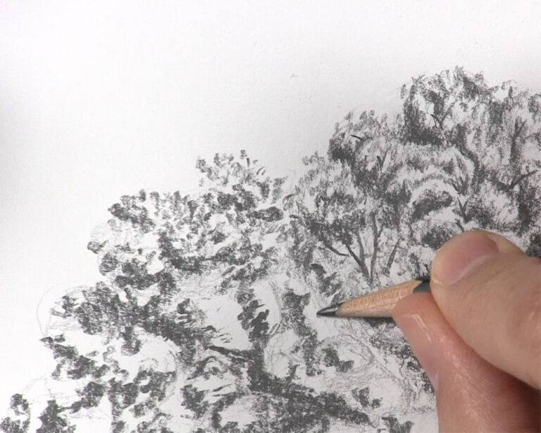 How to Draw a Tree with Leaves in a Surprisingly Familiar Way - Let&rsquo;s