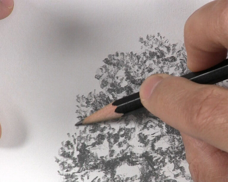 How to Draw a Tree with Leaves in a Surprisingly Familiar Way Let's