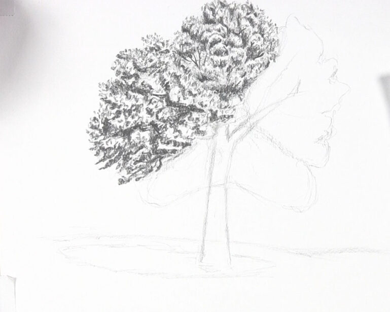 How to Draw a Tree with Leaves - Let's Draw Today