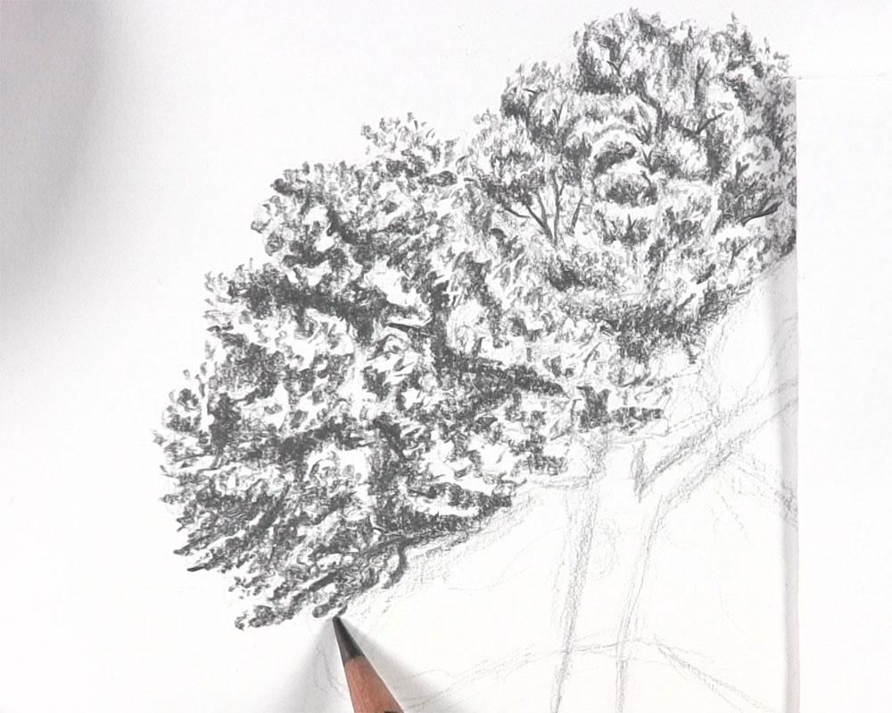 draw additional leaves and branches