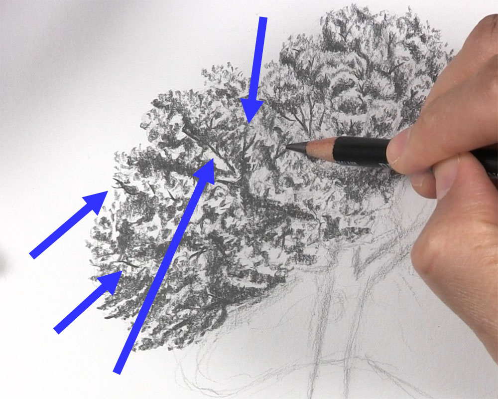 draw branches between tree leaves