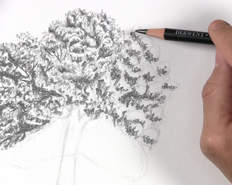 How To Draw Tree Leaves