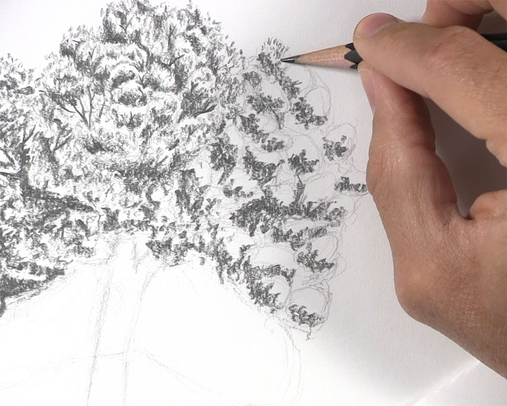 draw leaves over edge of tree