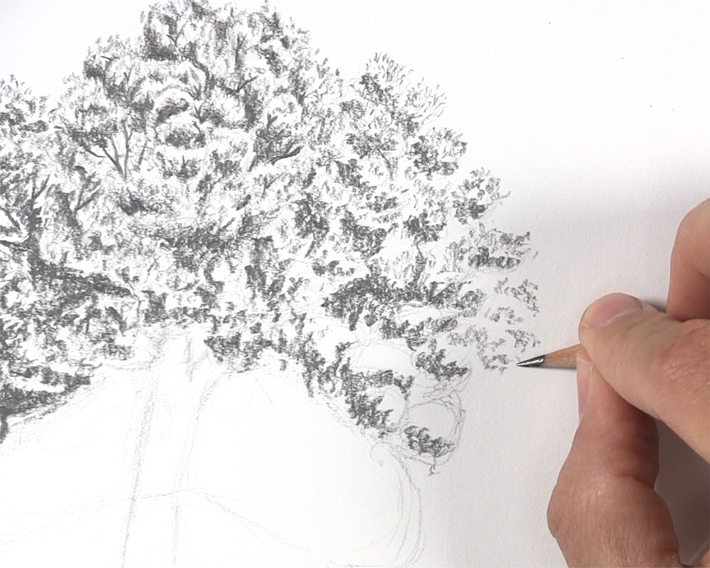 continue drawing leaves on clusters