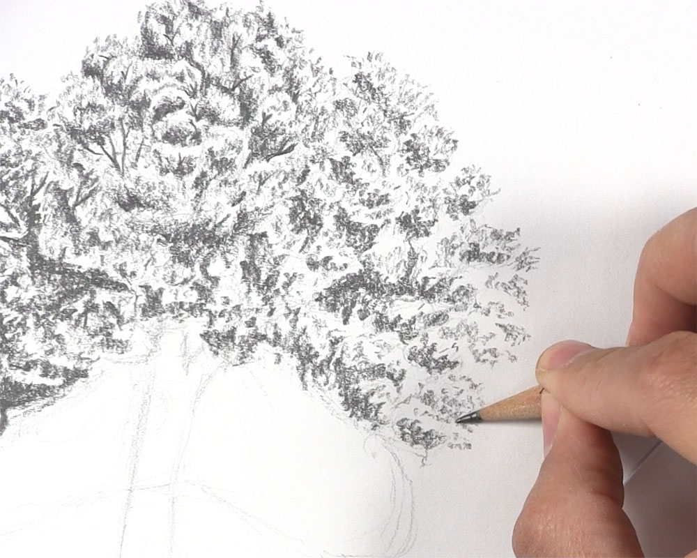 draw leaves on highlighted parts of tree
