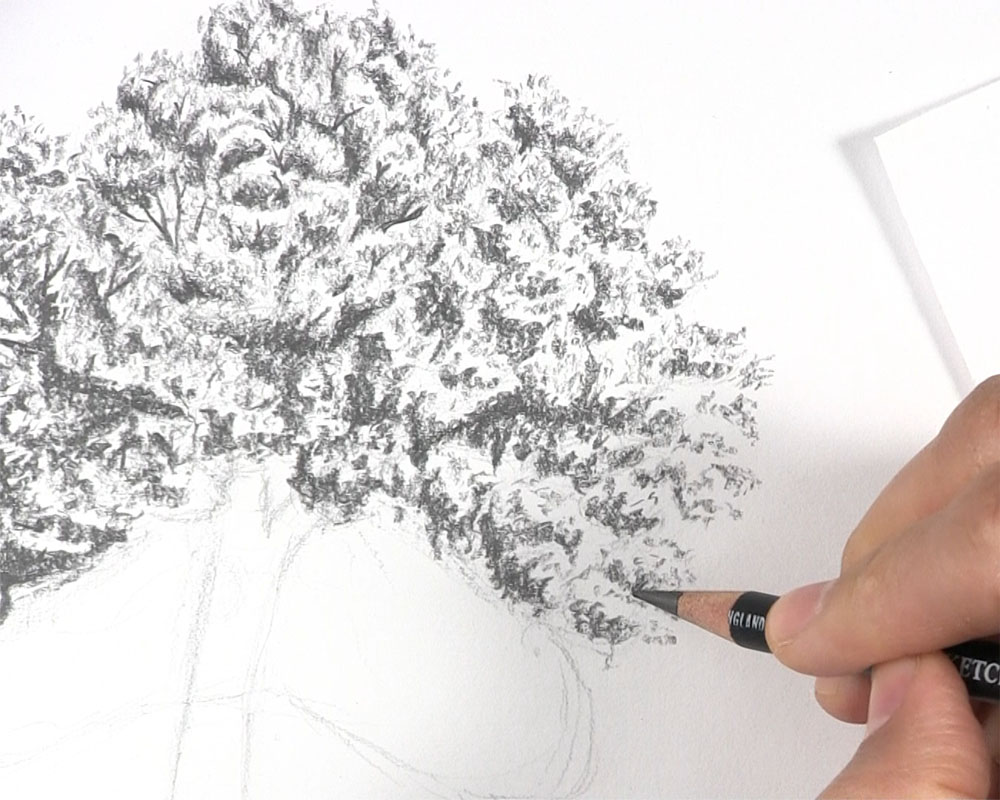 how-to-draw-a-tree-with-leaves-let-s-draw-today