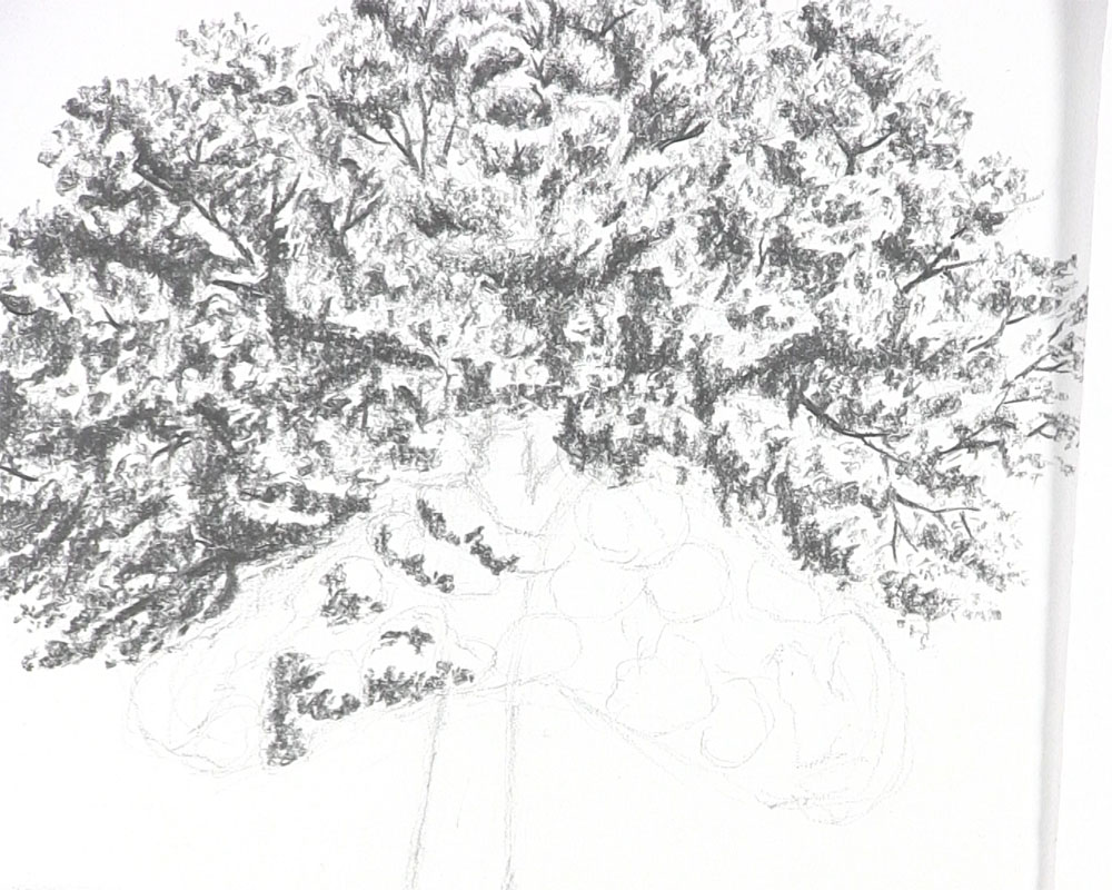 draw shading on tree leaves clusters