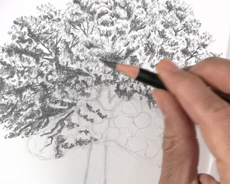 How to Draw a Tree with Leaves - Let's Draw Today