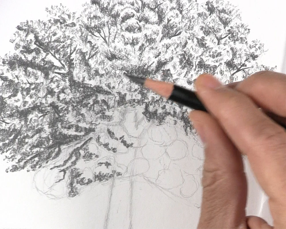 sketch out a thick branch