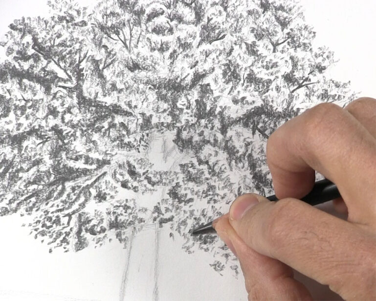 How to Draw a Tree with Leaves Let's Draw Today