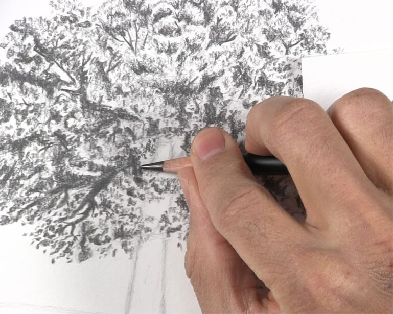 How to Draw a Tree with Leaves - Let's Draw Today