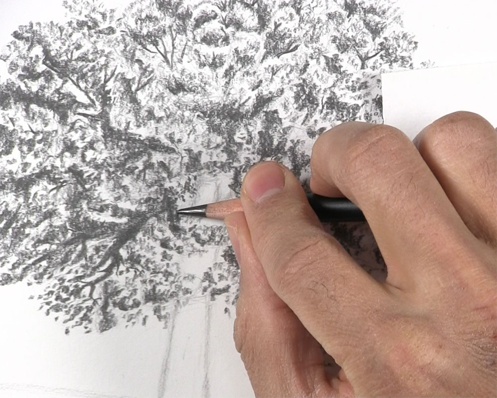 draw branches between tree leaves