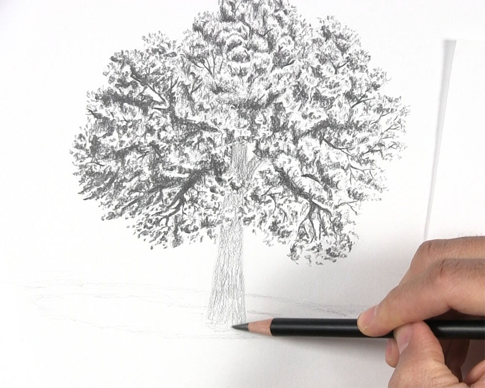 How to Draw a Tree with Leaves - Let's Draw Today