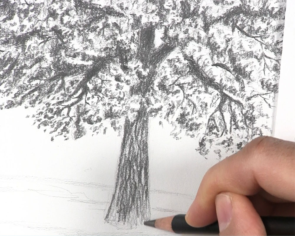 Tree without leaves VS tree with leaves drawing  How to draw two types of  trees  YouTube