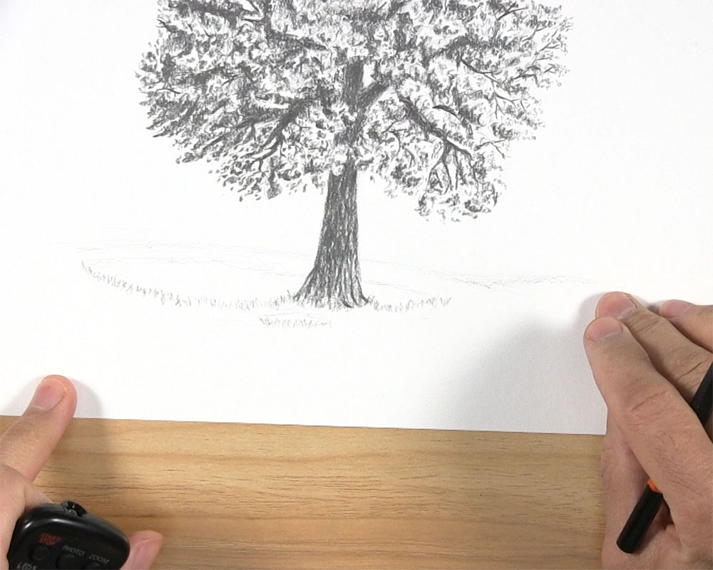 17,493 Sketches Of Trees Stock Photos, High-Res Pictures, and Images -  Getty Images