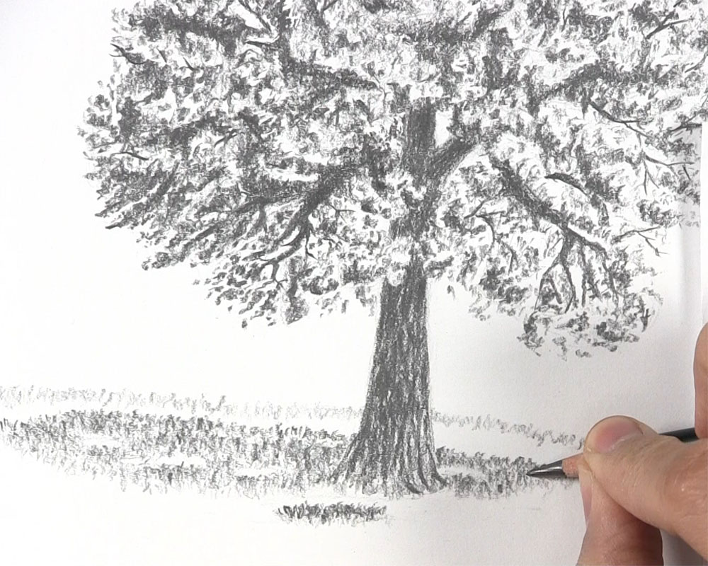 How to Draw a Tree with Leaves - Let's Draw Today