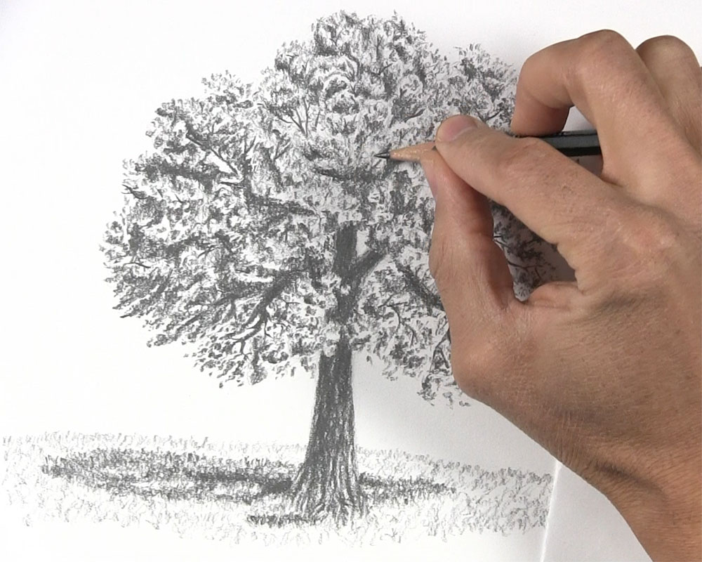 keep adding final details to tree drawing