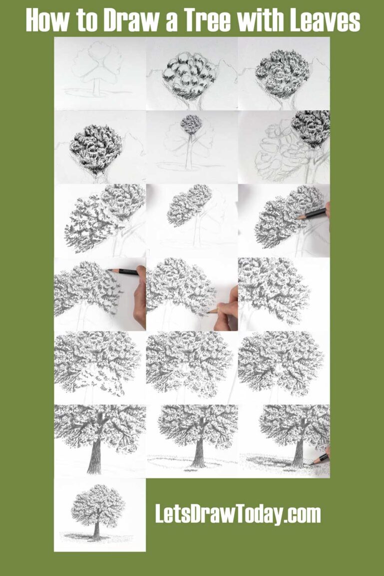 How to Draw a Tree with Leaves Let's Draw Today