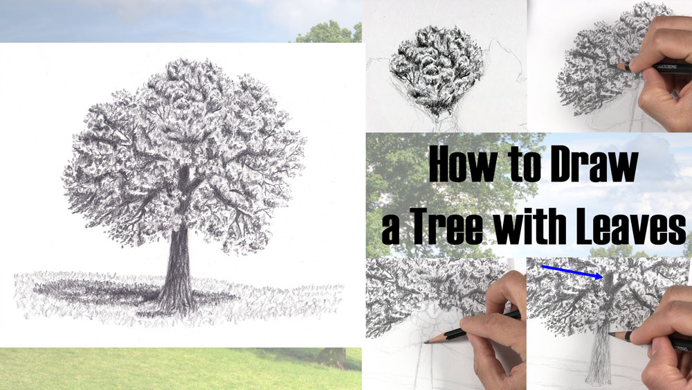 20 Easy Tree Drawing Ideas