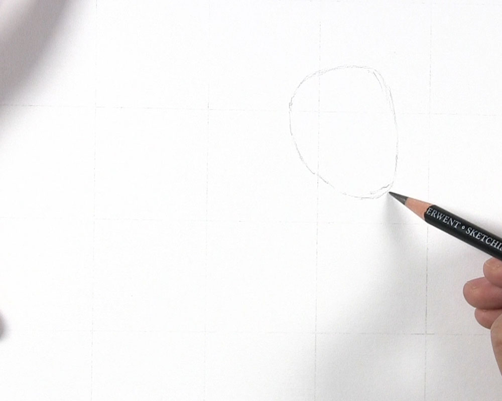 draw the head outline