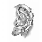 how to draw ear piercings featured image