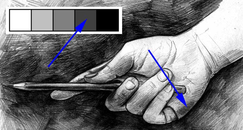 Fruits Drawing: Graphite Pencil Shading Techniques Course | Udemy